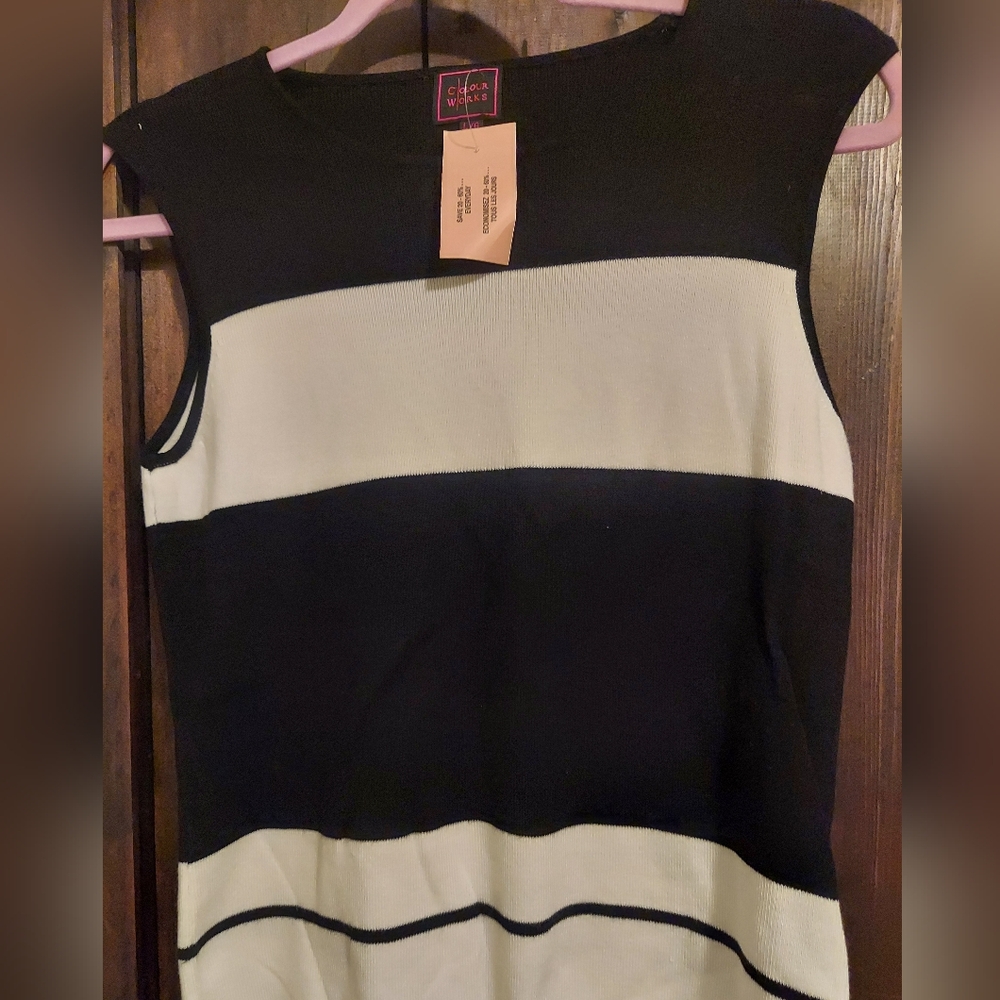 NWT Vintage Sleeveless Sweater
